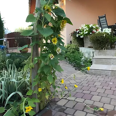 Case de vacanță Vitorlas 3 Balatonlelle