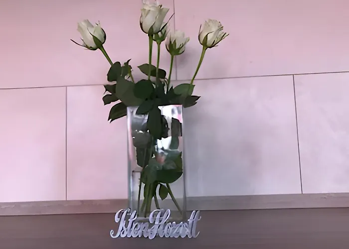 Vitorlas 3 בלטונללה