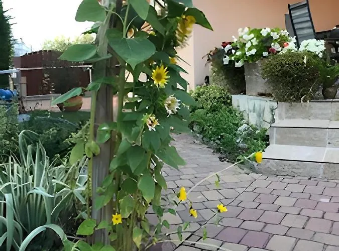 בית נופש Vitorlas 3 בלטונללה