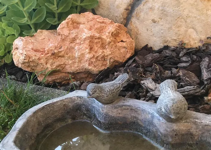 Vitorlas 3 בלטונללה